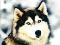 /album/galeria-de-fotos/oi-jpg/